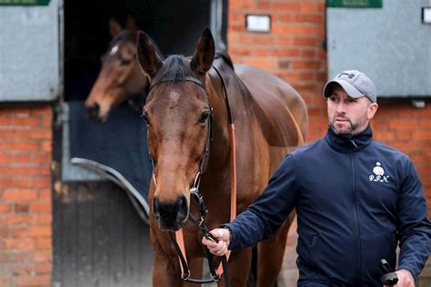 ladbrokes christmas festival|Ladbrokes Christmas Festival: Paul Nicholls stable tour .